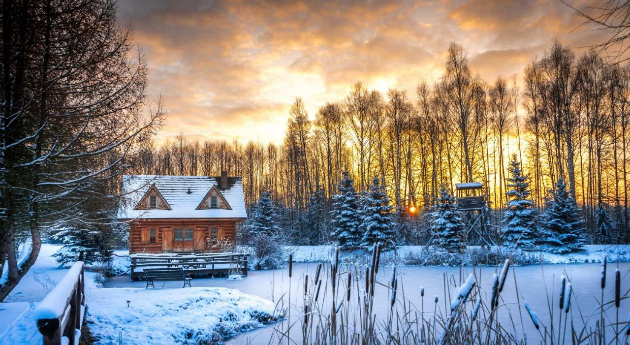 Vila Sucholand Miedziana Góra Exteriér fotografie