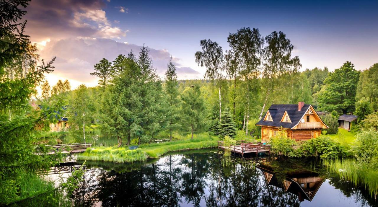 Vila Sucholand Miedziana Góra Exteriér fotografie