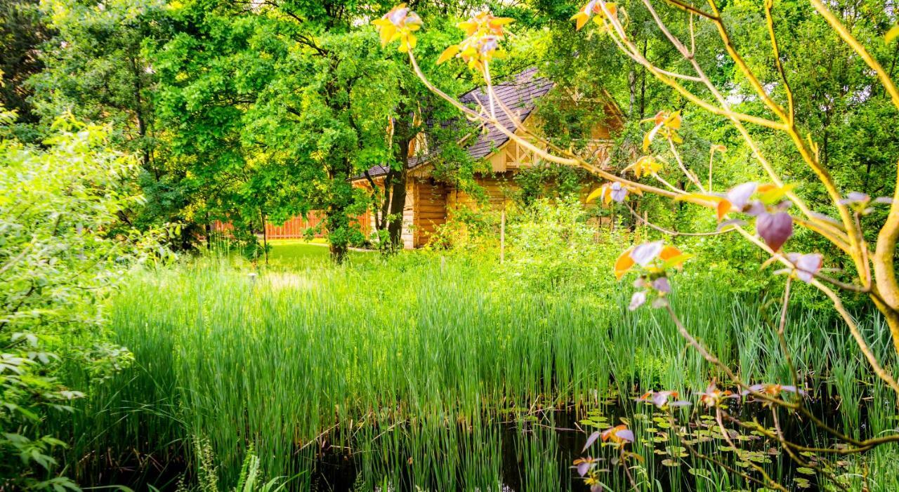 Vila Sucholand Miedziana Góra Exteriér fotografie