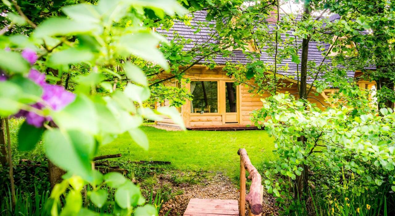 Vila Sucholand Miedziana Góra Exteriér fotografie
