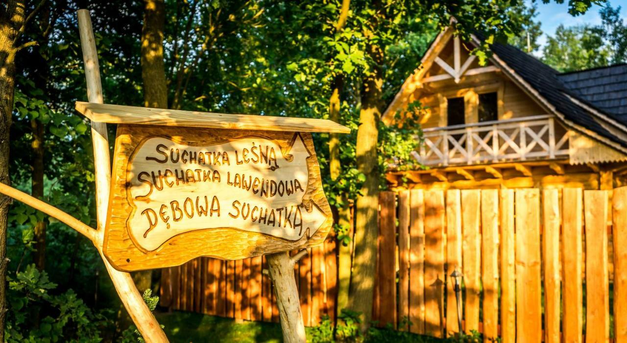 Vila Sucholand Miedziana Góra Exteriér fotografie